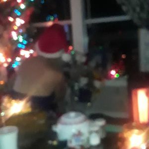 Meet your Posher, Sandy